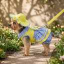 4 Packs Green Plaid Dog Dress Harness Leash and Hat Panties Set for Dogs Cats Girl,Pet Princess Dresses Cotton Spring Summer Puppy Clothes (Green, M(Bust 14.9inch|Weight 5-7lBS))