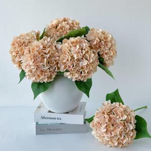 5 Pcs Light Coffee Silk Hydrangeas 20'' Faux Hydrangeas for Fall Indoor Home Decor Spring Kitchen Living Room Outdoor Porch Wedding Flower Arrangement