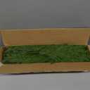 HyeFlora 19 Inch Christmas Norfolk Pine Stems, 12PCS Real Touch Faux Cedar Pine with 5PCS Big Pine Cones Branches, Artificial DIY Greenery Stems Plastic Picks for Vase Indoor Outdoor Home Garden Dcor