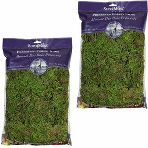 SuperMoss Forest Moss (2 Pack, 8oz) - Modern Garden Moss