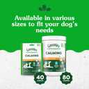 Greenies Supplements Calming Chews for Dogs Chicken Flavor, 7.3 oz. Container of 40 ct.