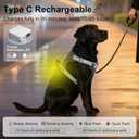 Taglory LED Dog Harness with AirTag Holder, No Pull Light Up Dog Vest for Night Walking, USB Rechargeable Pet Safety Harness with 2 Metal Clips, Adjustable Soft Vest for Small Dogs (Slate Gray, XS)