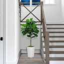 Fiddle Leaf Fig Tree Artificial 5FT - Faux Fiddle Leaf Fig Tree with White Tall Planter - Fake Ficus Lyrata Floor Plant Potted - Artificial Fig Tree for Home Office Living Room Decor Indoor, White Vase