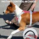 TagME No Pull Dog Harness with 2 Leash Clips,Lightweight & Visible for All-Day Walking,No Choke Pet Vest Includes AirTag Holder for Small Dogs,Melon Red