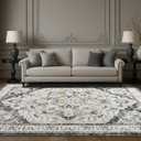 Area Rugs 8x10,Washable Area Rug for Living Room,Low Pile Rug,Non-Slip Non-Shedding Bedroom Rug,Indoor Modern Carpet for Bedroom Kitchen Dining Room Home Décor (Grey, 8x10)