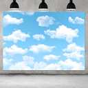 Qian 7x5ft Blue Sky White Clouds Backdrop Natural Scenery Sunshine Sky Clouds Photography Backdrop Wedding Birthday Party Decoration Newborn Baby Shower Backdrop