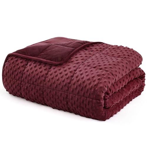 L'AGRATY Weighted Blanket for Adult - 60"x80" 22lbs Minky Dots Heavy Blanket with Glass Beads Soft Breathable for All-Season Summer Fall Winter Thick Comfort for Sleeping