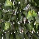 Expandable Fence Privacy Screen for Balcony Patio Outdoor,Decorative Faux Ivy Fencing Panel,Artificial Hedges (Single Sided Leaves)