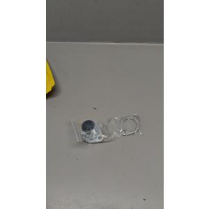 1" Threaded Exhaust Flange Repair Kit with Gasket & Bolts For Predator Engine 301 420 340 390 22hp 670 Generator Buggy
