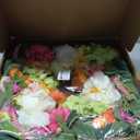 24 Inch Spring Wreaths for Front Door- Outdoor Spring Summer Flower Wreath with Vibrant Peony Hydrangea Flower, Green Eucalyptus Leaves and Orange Berry- Ideal for Porch,Mantel,Home Wall