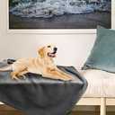 Onarway Dog Blanket Washable for Puppy: 1 Pack Dog Blankets 40”x28” - Fluffy Soft Small Throw for Cat Puppy Kitten Dogs - Fleece Pet Blankets for Bed Sofa Car and Indoor - Grey 
