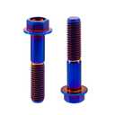 Rison Titanium Flanged Hex Head Bolt M10x1.25x30mm 6AL4V Aerospace Grade Ti Burnt Blue for Motorcycle Car Modification - Pack of 5