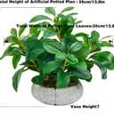 K&Y Realistic Artificial Potted Plants Olive Wild Fern Berry Decor Low Maintenance Faux Greenery Indoor Fake Plants for Home Office Bathroom Kitchen Desk Shelf (Gray Flowerpot Potted Plant)