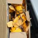 6FT 5-Leaf Lucky Tree Christmas Tree with Warm White Lights - 300 LEDs Weatherproof Indoor/Outdoor Lighted Maple Tree, 16ft Extension Cord & Stakes, 4 Dimming Modes + Timer (Yellow)