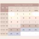 Bras for Women No Underwire Wireless Bras with Support & Lift Seamless Scalloped Full Coverage Tshirt Bra (Beige, XL)