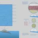 From Above: An (Info)graphic Novel