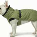 Dog Winter Coat, Warm Puffer Jacket with Fur-Safe Buckle & Leash Hole for Cold Weather, Water-Repellent Snow Vest, Breathable Thermal Apparel for Hiking & Active Dogs (Green, Small)