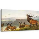 SERIMINO Animal Deer Vintage Wall Art for Living Room, Meadow Landscape Canvas Prints, Retro Large Wall Decor, Nature Scenery Canvas Prints, Farmhouse Home Decor for Bedroom, 20x40 Inch