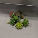 HappyHapi 12 Pcs Artificial Succulents Mini Fake Plants Unpotted Faux Succulent for Craft, Small Plastic Succulents Assortment in Flocked Green Floral Decor for Party, Cake, Garden & Outdoor