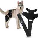 PetVest Dog Knee Brace for Torn Acl Hind Leg Support with Cruciate Ligament Injury Dog Brace Hind Leg Better Recovery with Adjustable Strap Leg Brace for Relieve Joint Pain, Muscle Sore (Small)