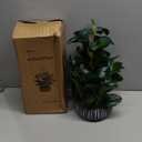 AlphaAcc Artificial Plants Decor Greenery Fake Succulents Indoor Potted Fake Plant with Rustic Black Clay Planter for Home Decor Farmhouse Room Bathroom Bedroom Kitchen Office Table Decor