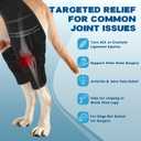 Dog Knee Brace for Torn ACL Hind Leg with 4 Metal Stabilizers Helps with Torn CCL, Luxating Patella, Ligament Injuries, S