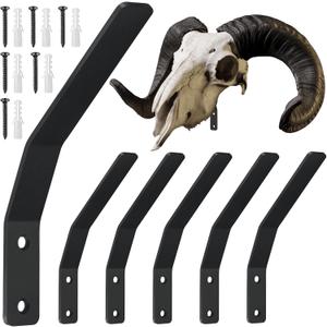 Zonon 6 Pcs European Mount Skull Hanger Large Euro Deer Skull Hangers European Mount Bracket Deer Head Wall Mount Kits for Indoor Outdoor Bear Elk Mule Antelope Coyote Buffalo Pronghorn Game Animals