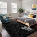 Fluffy Rug Shag Area Rug, Black 4x6 Area Rugs for Bedroom, Small Bedside Rug, Soft Fluffy Shag Entryway Throw Rugs for Living Room Bedroom Room Home Decor