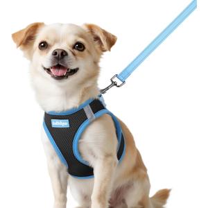 rabbitgoo Dog Harness Small Sized and Leash Set, Step-in Breathable Pet Harness, Soft Walking Reflective Puppy Vest for Small Dogs, Black & Light Blue, XXS
