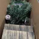 Lunmon 2 Pack 4FT Small Mini Pre-Lit Christmas Trees Potted Artificial with 160 Lush Branch Tips 100 LED Warm Lights, Pine Cones and Berries for Holiday Xmas Gift Home Decor, 8-Mode Timer Battery Box