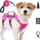 Escape Proof Dog Harness for Large Medium Sized Dogs Six Point Adjustable, Service Dog Vest Harness and Leash Set, No Pull Dogs Harnesses with Handle, Medium Dog Harnesses for Walking(Pink, S)