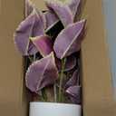 Artificial Plants Indoor 14.2" Small Fake Perilla Plant in Pot Potted Plants Artificial Decor Faux House Plant with White Pot for Farmhouse Home Office Bathroom Living Room Table Shelf Decor (Dark Purple)