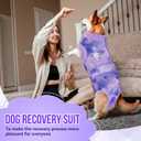 SlowTon Dog Surgery Recovery Suit - Zipper On Dog Onesies After Surgery for Female Male Dogs, Abdominal Wounds Bandages Cone/E-Collar Alternative Dogs Surgical Suit Shirt (Purple,M)