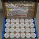 LANKER 24 Pack Flameless Led Tea Lights Candles, Steady Cool White Battery Operated Electronic Fake Candles, Decorations for Christmas, Halloween and Festival Celebration (White)