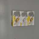 3 x 4-in-1 Cat Grooming Brush  Water Spray & Self-Cleaning Shedding Brush for Cats & Dogs  Pet Hair Removal & Massage Comb for Long & Short Hair (Beige).