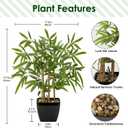 18 Inch Fake Bamboo Tree Plant Indoor Potted Plants Faux Bamboo Plants in Black Pot with Solid Wood Trunk Artificial Bamboo Tree Small Faux Plants Excellent Gift Silk Plants for Home Office Decor