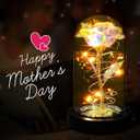 Childom Mothers Day Flowers Gifts for Mom Grandma,Birthday Gifts for Women,Valentines Gifts for Her,Mom,Women,Wife,Grandma,Light Up Rose in Glass Dome,Colorful Rainbow Mothers Day Flowers for Delivery