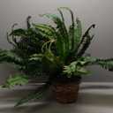 Nearly Natural 6774 22in. Large Boston Fern Hanging Basket,Green