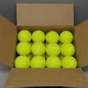 FURWEY 24 Pack Tennis Balls, Thickened Tennis with Mesh Bag for Transport, High Elasticity Training Balls for Beginner, Playing Balls for Dogs