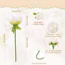 U'Artlines 2 Bouquet 10 Heads Artificial Peony Silk Flower Leaf Home Office Wedding Party Festival Bar Decor (Cream White)
