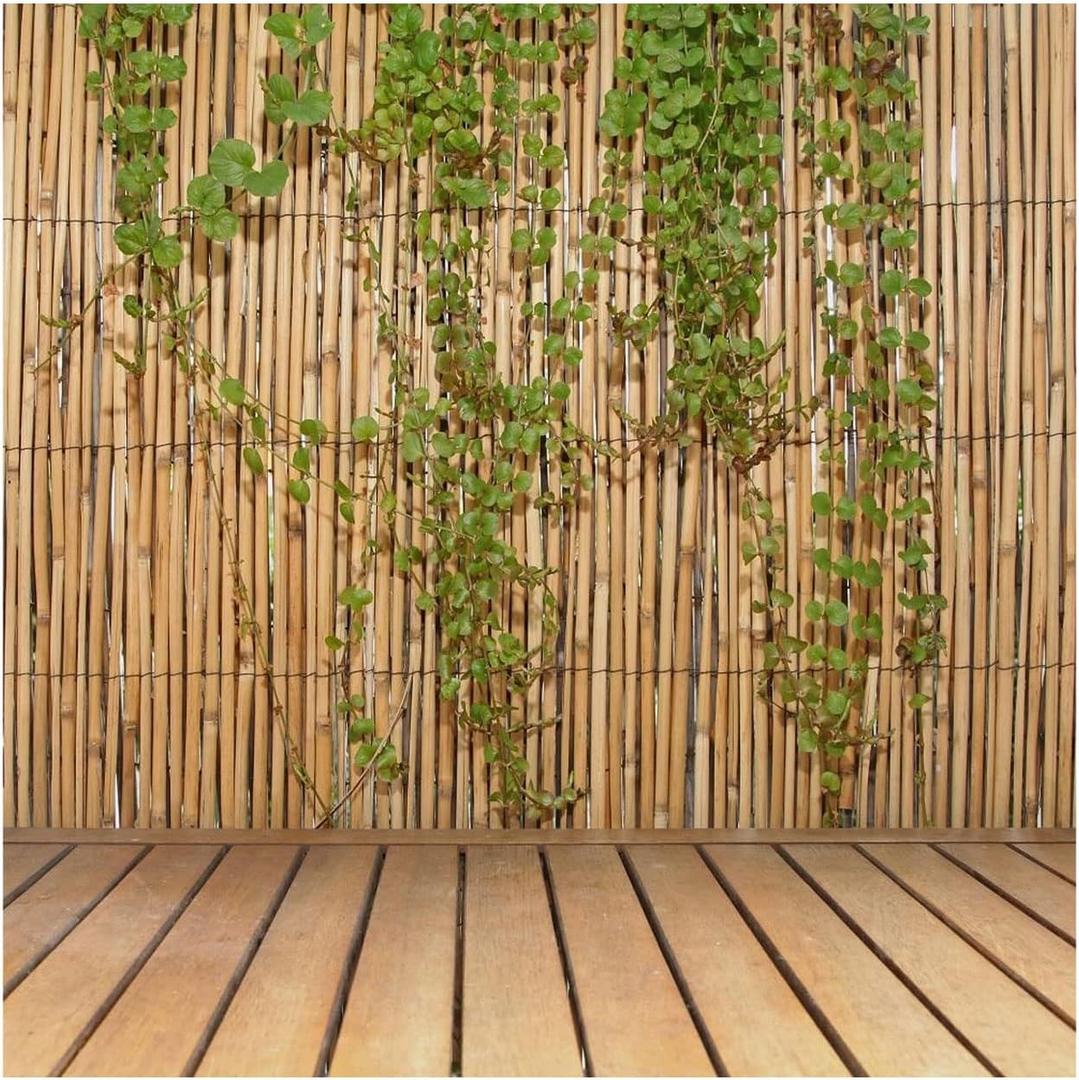 Forever Bamboo Jumbo Reed Bamboo Screen Fencing Privacy Fence Backyard Divider Decorative Reed Garden Fencing Natural Finish 6 ft H x 16 ft L, (20-BR6) (Tan)