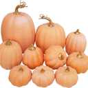 Winlyn 10 Pcs Assorted Artificial Orange Pumpkins Decorative Pumpkins Faux Light Orange Pumpkins Foam Pumpkins for Fall Harvest Autumn Wedding Thanksgiving Halloween Table Centerpiece Mantel Dcor