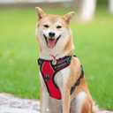 PoyPet No Pull Dog Harness, Reflective Comfortable Vest Harness with Front & Back 2 Leash Attachments and Easy Control Handle Adjustable Soft Padded Pet Vest for Small to Large Dogs (Red, XS)