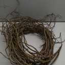 Decorative Branch, 6 pack