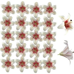 20PCS 6 Inch Large Artificial Lilies Flower Heads with Realistic Stamens, Bulk Silk Fake Lilies for DIY Crafts, Wedding Decor, Cake Decorating, Centerpieces, Home Decor (White Pink)