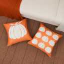 Fall Pillow Covers 18x18 Inch Set of 2 Pumpkin Decorative Throw Pillow Cases Autumn Harvest Soft Pillowcase for Home Farmhouse Living Room Decor