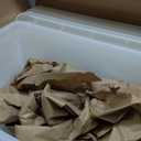 IRIS USA 68 Qt Stackable Plastic Storage Bins with Lids, 5 Pack - BPA-Free, See-Through Organizing Solution, Latches, Durable Nestable Containers, Secure Pull Handle, Made in USA - Clear