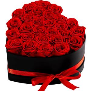 27 Forever Preserved Flowers in a Box, Vanlentines Day Gifts for Her, Eternal Roses Flowers for Delivery Prime, Birthday Gifts for Women Mom Grandma Wife (Red)