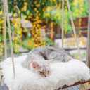 Cat Hammock with Industrial-Grade Suction Cups - Solid Pine Wood Seat, Soft Cushion - 42 lb Capacity (Medium, Brown/White)