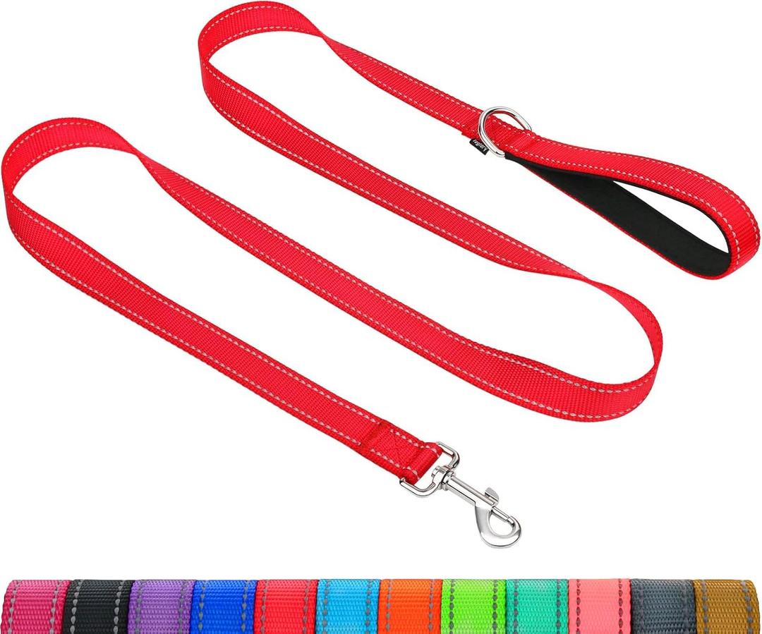 Taglory Dog Leash for Small Dogs, Double-Sided Reflective Leash with Soft Neoprene Padded Handle, 3/4 inch by 5 ft, Fit Small Medium Large Breeds Under 20 lbs, Red
